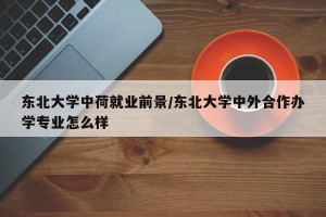 东北大学中荷就业前景/东北大学中外合作办学专业怎么样