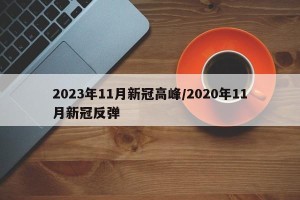 2023年11月新冠高峰/2020年11月新冠反弹