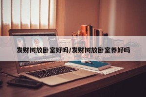发财树放卧室好吗/发财树放卧室养好吗